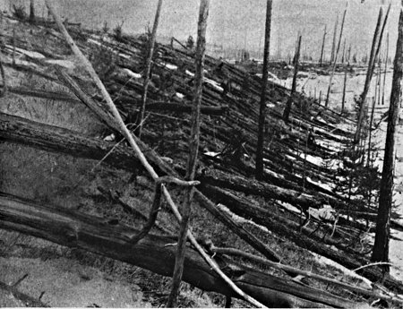 Árboles derribados Árboles derribados